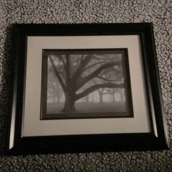 Picture - Picture 1 of 2